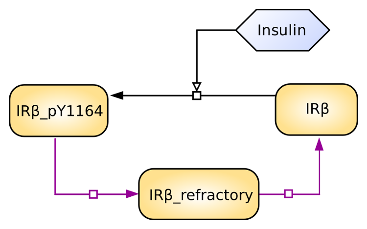 insulin_receptor